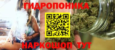 стафф Краснодар