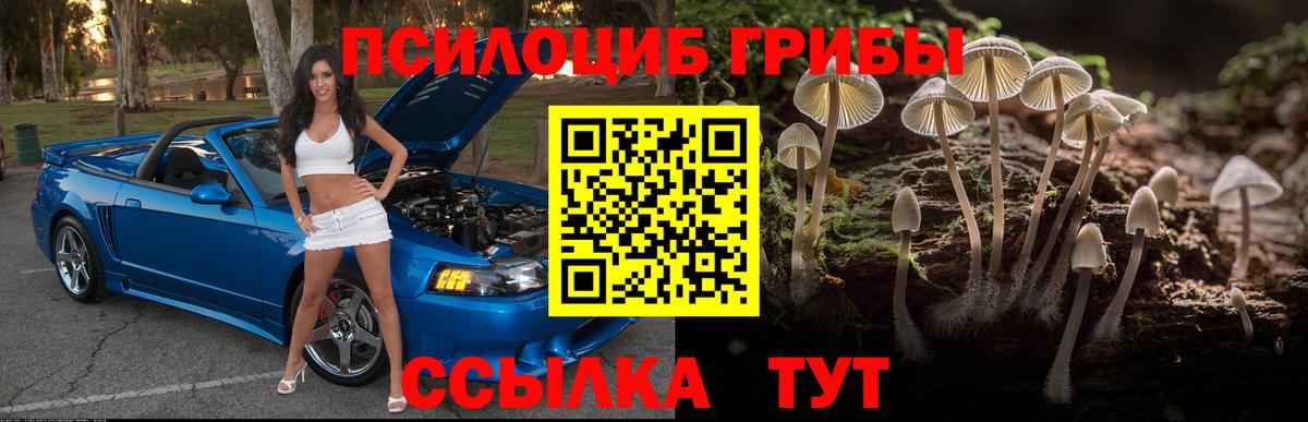 Галлюциногенные грибы GOLDEN TEACHER Киржач