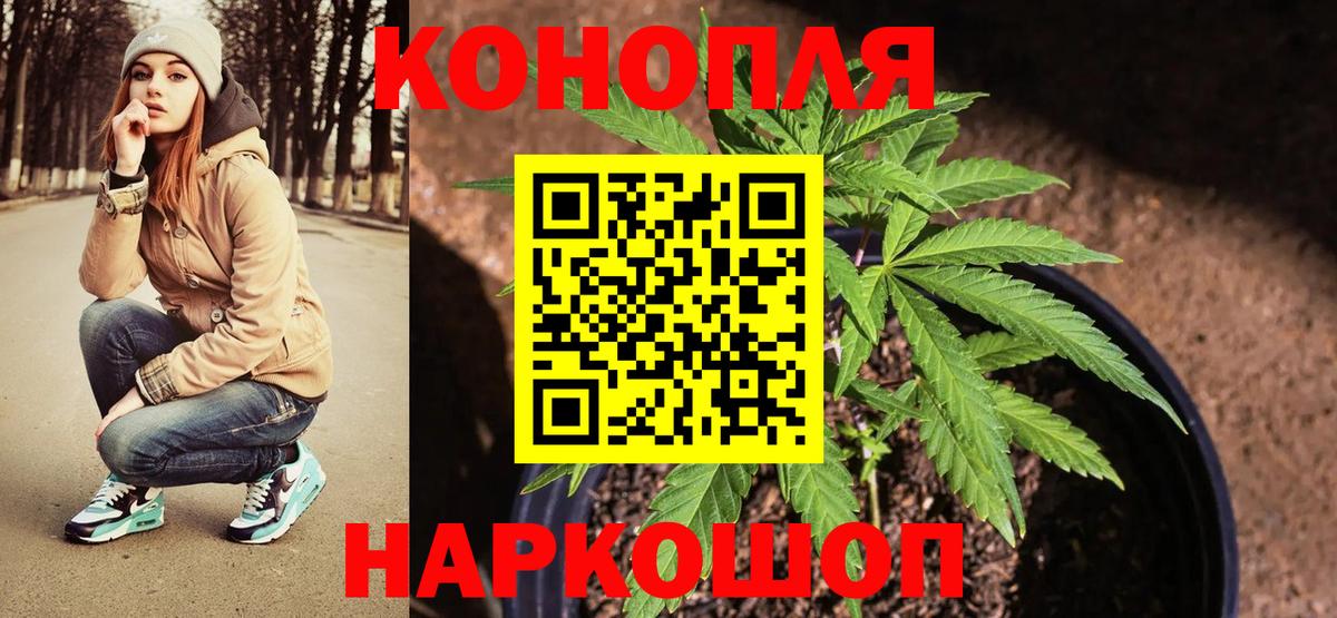 МАРИХУАНА сатива Киржач